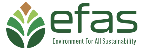 EFAS SOLUTIONS ÇEVRE MÜHENDİSLİK YAZILIM DANIŞMANLIK ARGE TEKNOLOJİ İTHALAT VE İHRACAT A.Ş.